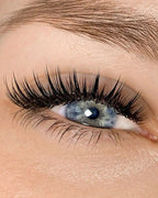 Special Effects Lash Extensions training image 2