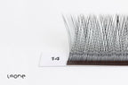 LeOne Narrow pre-made 2Y /3W/4W/ 5W. eyelash extension bundles image