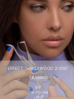 Hollywood 2-20D