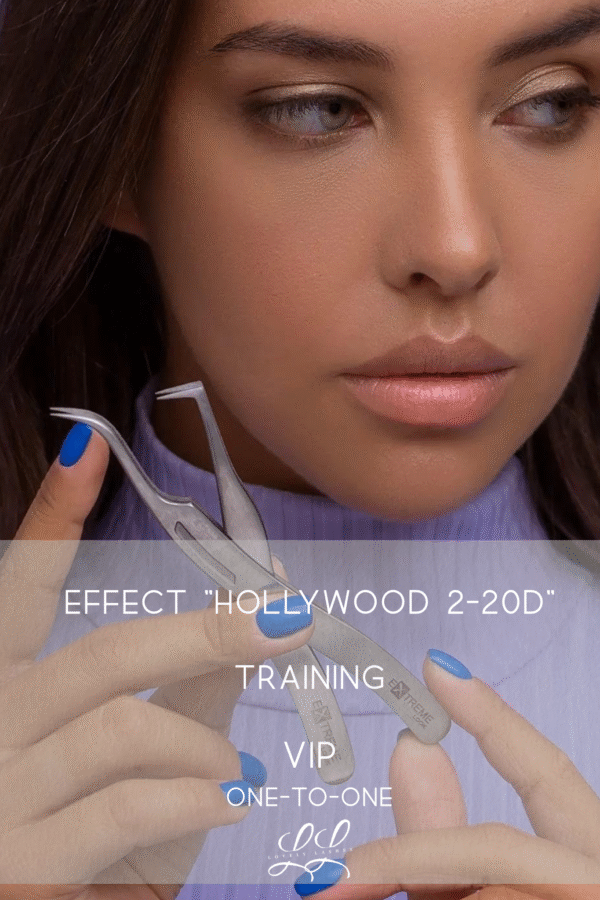 Hollywood 2-20D